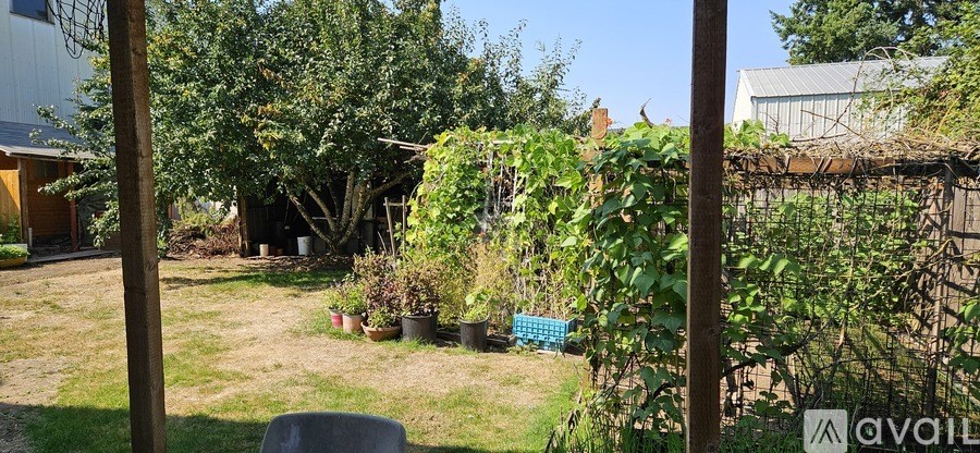 A backyard with a fence and a tree.