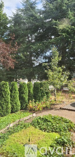 A lush green garden with a variety of plants and trees.