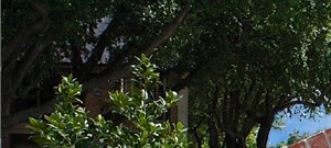 Creekside At Pear Ridge Apartments In Dallas Tx