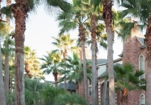 Phoenician Apartments Apartments In Houston Tx