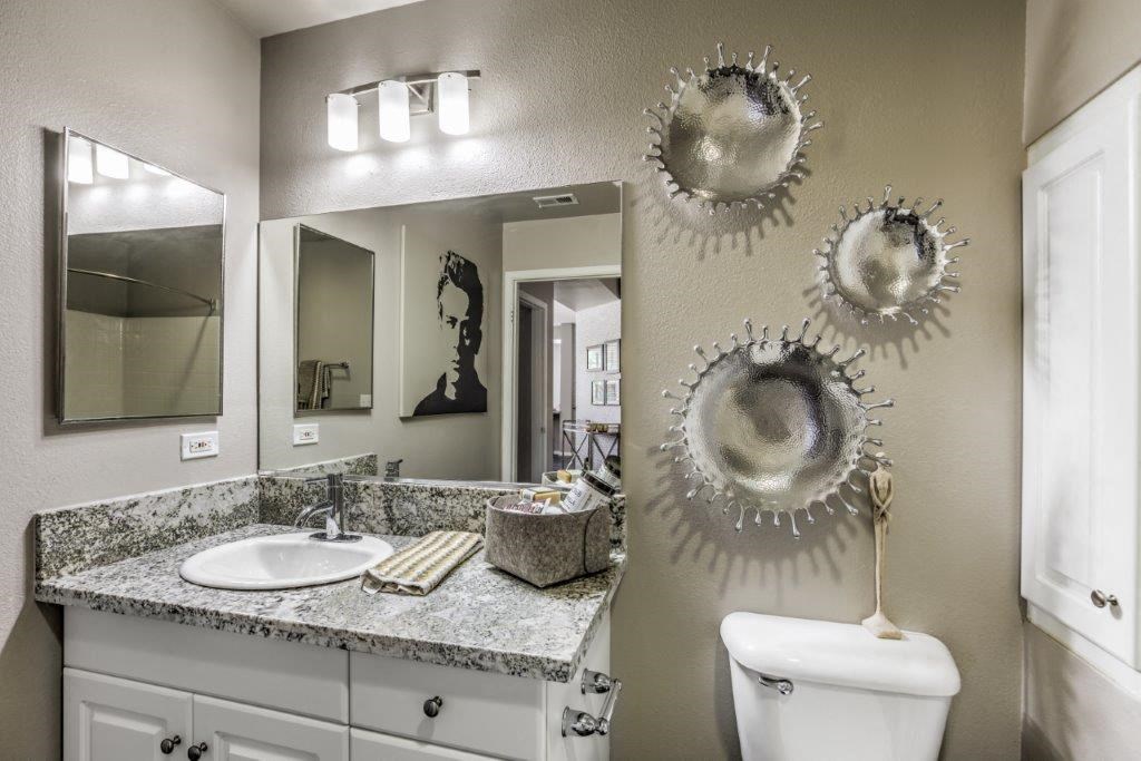 a bathroom with a sink and a mirror and a toilet