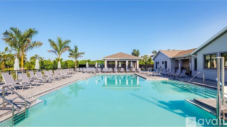 A large swimming pool surrounded by lounge chairs and palm trees.
