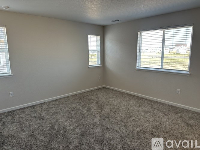 A room with carpeted floor and two windows.