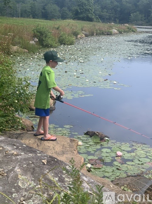 A boy in a green shirt and hat is fishing on a lake with lily pads.