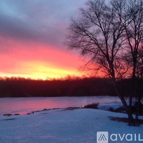 A tree stands alone in a snowy field at sunset.