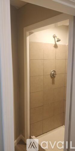 A bathroom with a shower and a white door.