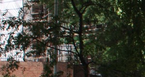 Woodley Park Apartments Woodley Park Apartments