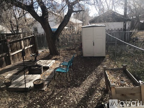 A garden with a shed, a bench and a fence.