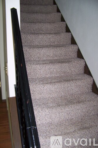 A staircase with a carpeted runner and a black railing.