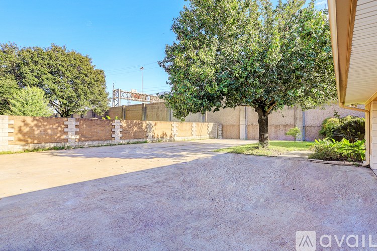 A tree stands in the middle of a concrete area with a fence and a building in the background.