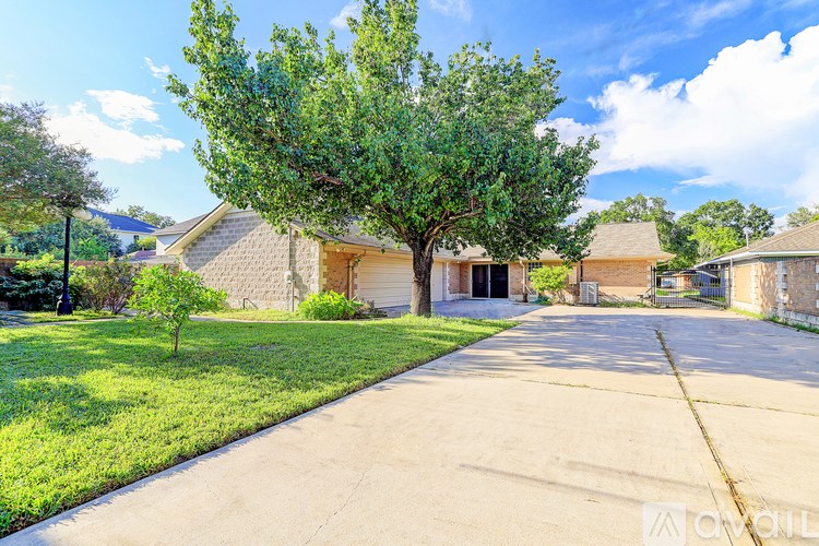 A tree in front of a house with a driveway leading to the garage.