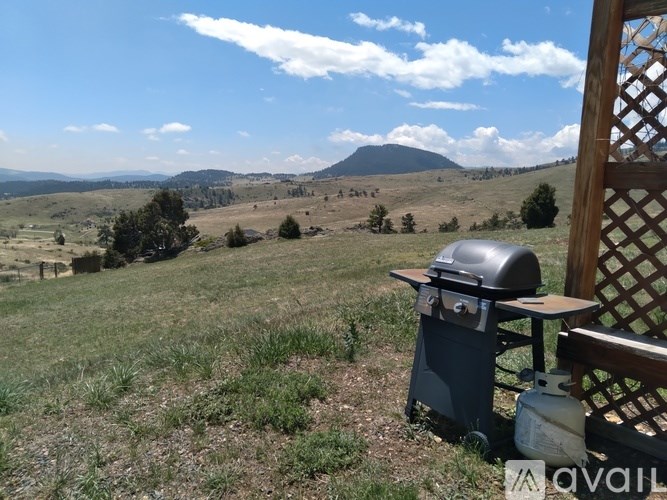A grill is on a patio with a mountain in the background.