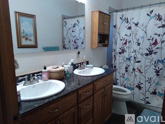 A bathroom with a white sink, a toilet, and a shower curtain with a bird design.