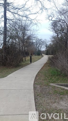 A concrete walkway leads through a wooded area.