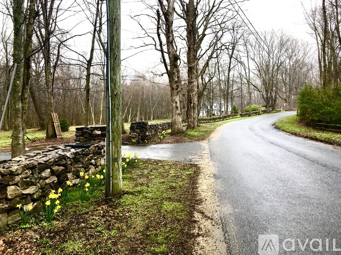A rural road with a stone wall and trees on the side.
