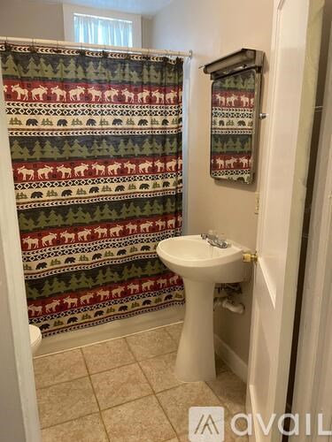 A bathroom with a sink and a shower curtain with animals on it.