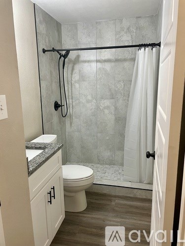 A bathroom with a walk-in shower and a toilet.