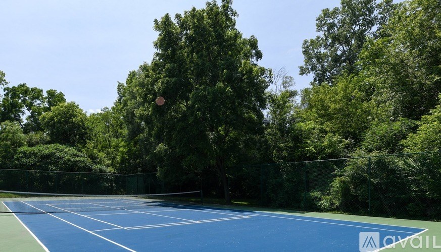 A tennis court surrounded by trees and a fence.