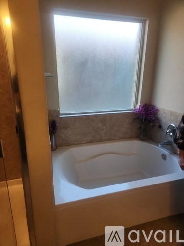 A person is standing in a bathroom with a tub and a window.