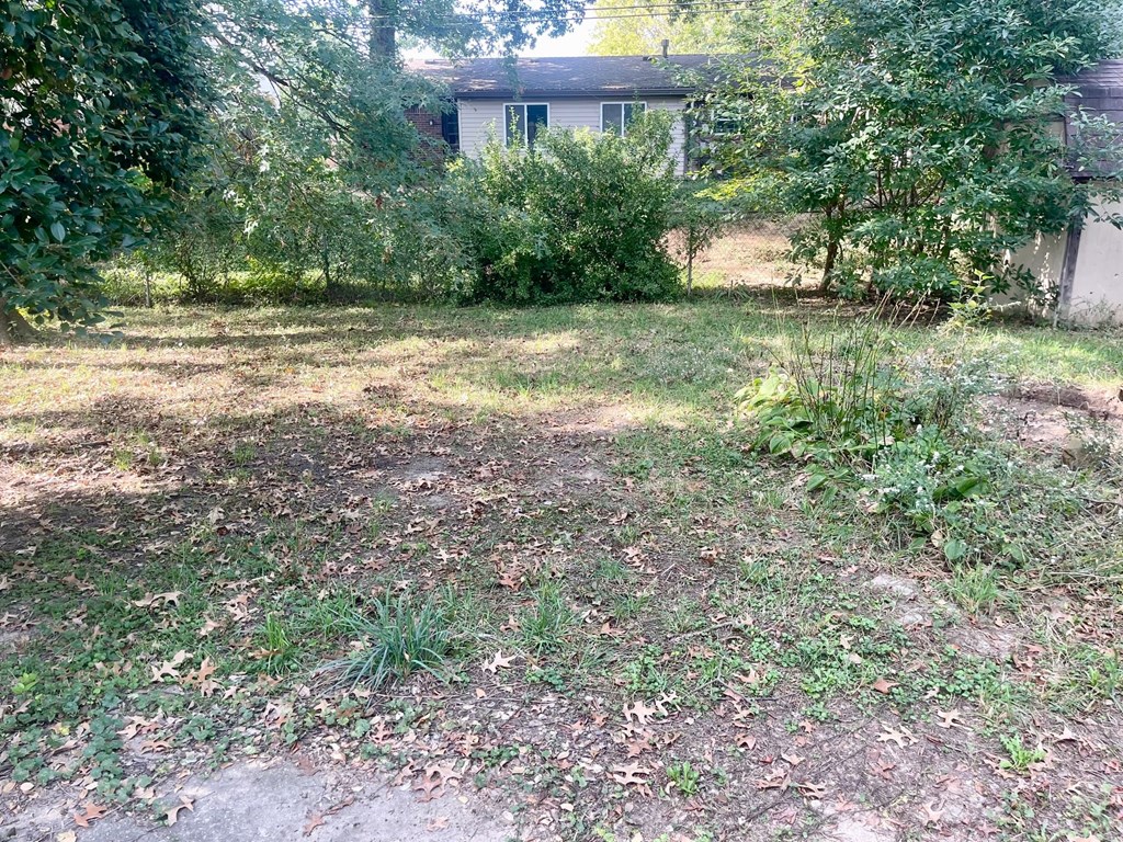 A backyard with a dirt area and a few trees.