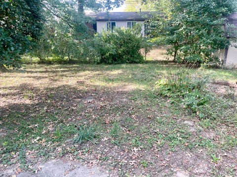 A backyard with a dirt area and a few trees.
