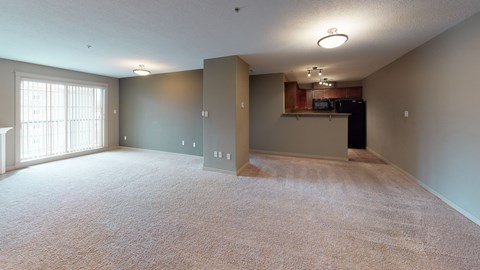 A spacious room with a carpeted floor and a window on the left side.