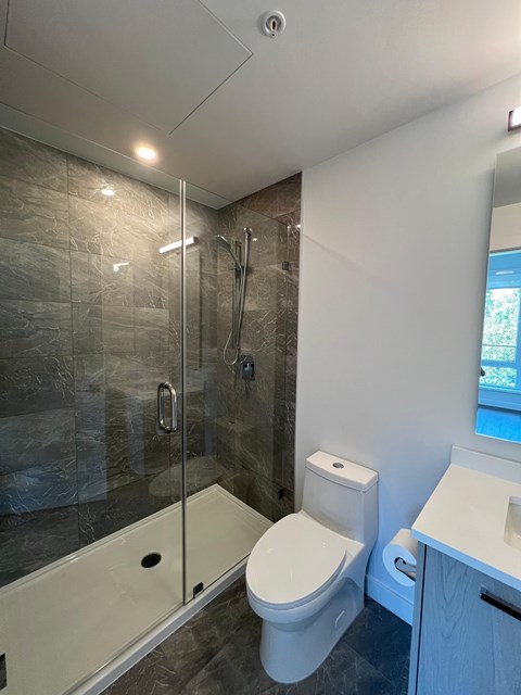 A modern bathroom with a walk-in shower and a toilet.