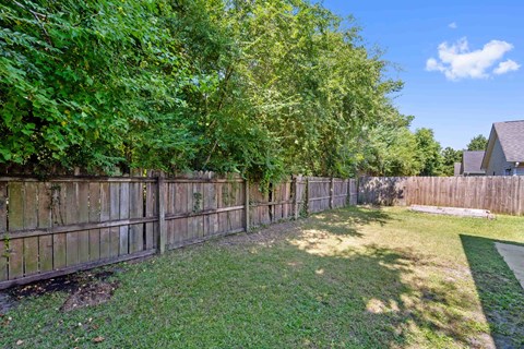 A backyard with a wooden fence and green grass.