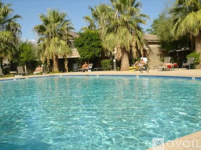A swimming pool surrounded by palm trees and people relaxing on the sun loungers.