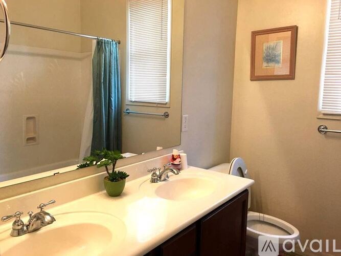 A bathroom with a white counter top and a green plant on it.