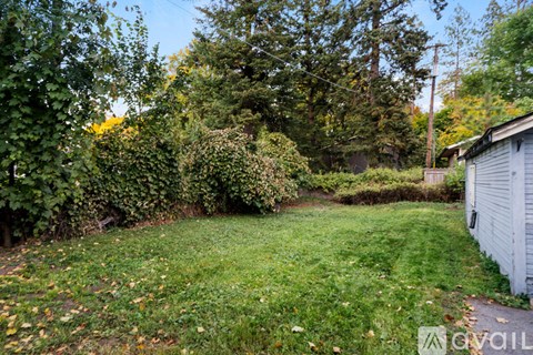 A backyard with a lawn and trees.