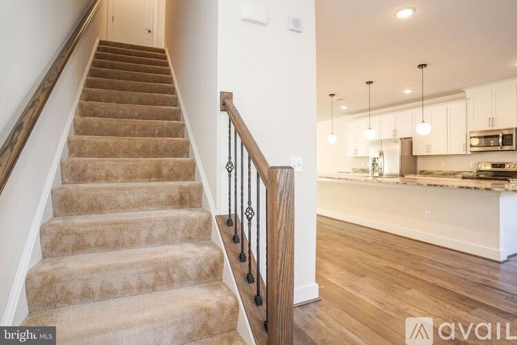 A staircase with beige carpeted steps and a wooden handrail.