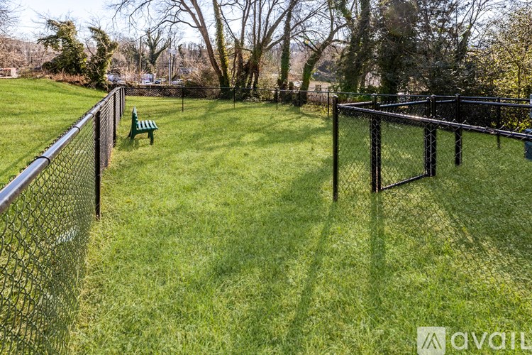 A green lawn with a fence and a bench.