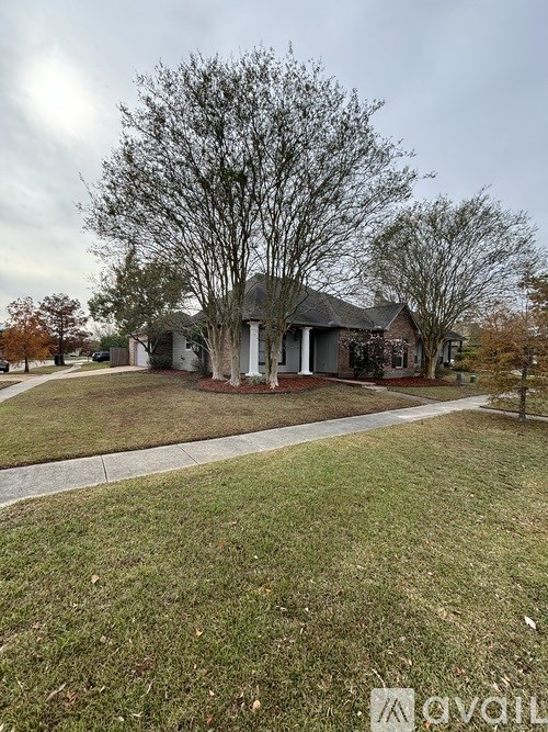 A house with a tree in front of it.