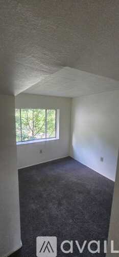 A room with a window and carpeted floor.