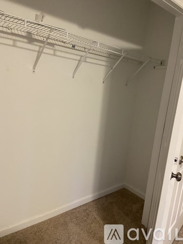 A white closet with a carpeted floor and a door on the right side.