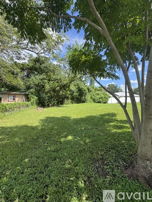 A tree in a grassy area with a house in the background.