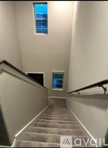 A staircase with a carpeted runner and a window at the top.
