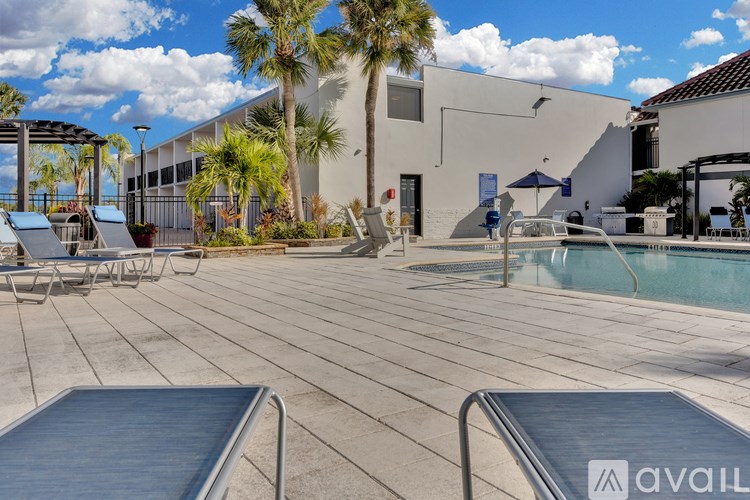 A pool area with sun loungers and a palm tree.