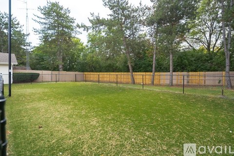 A backyard with a fence and trees.