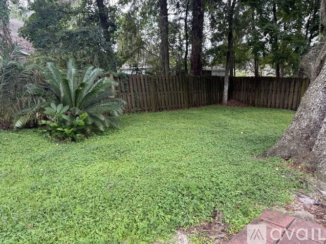 A backyard with a wooden fence and a large tree.