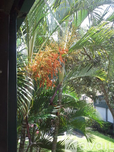 A tree with orange flowers is seen through a window.