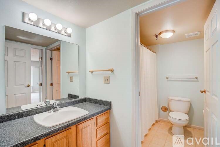 A bathroom with a sink, mirror, and toilet.