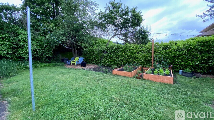 A backyard with a lawn, a hedge, and a wooden raised garden bed.
