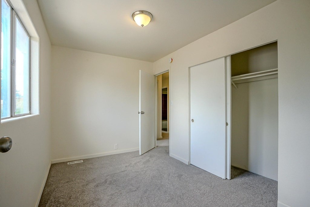 A room with a carpeted floor and a ceiling light.