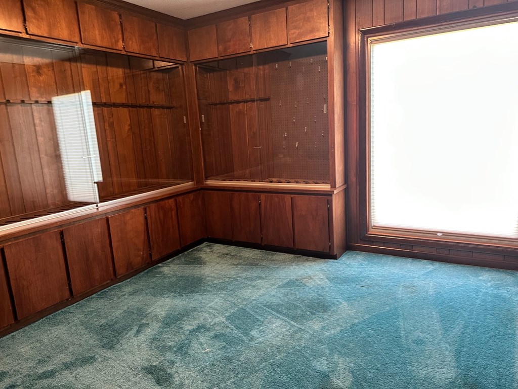 A room with wooden walls and a blue carpet.