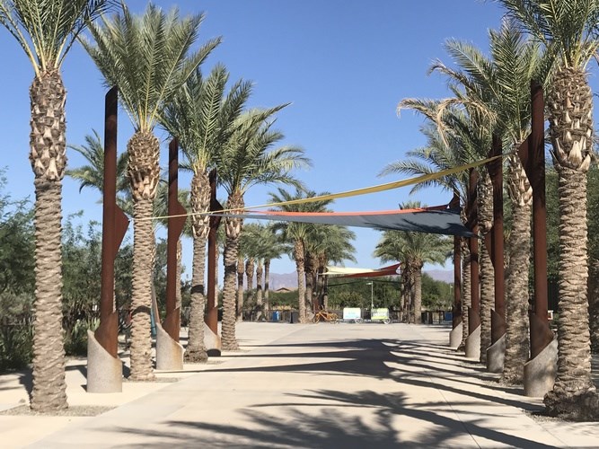 A row of palm trees are lined up on a walkway.