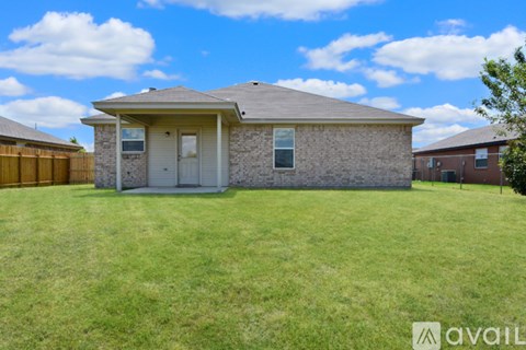 A tree stands in a grassy backyard.