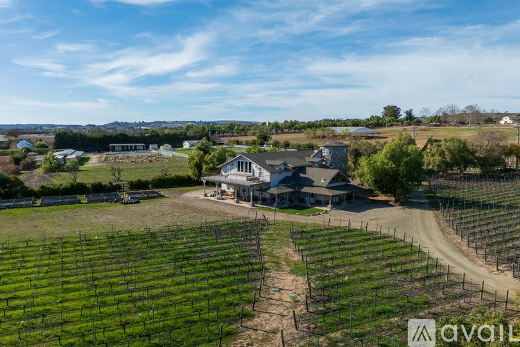 A vineyard with a house and a clear sky.