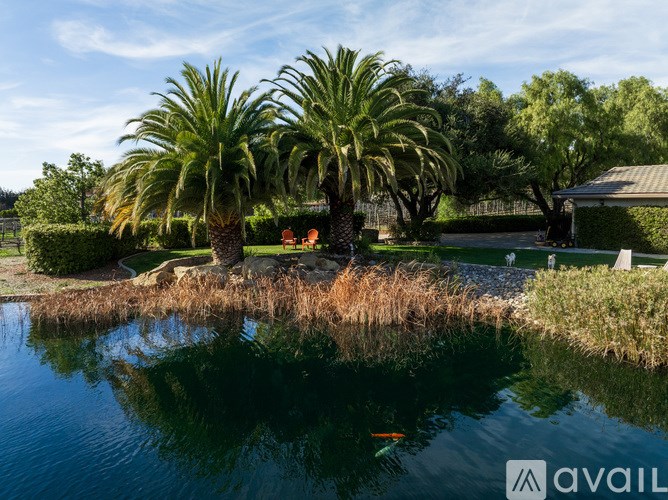 A calm pool surrounded by palm trees and a house in the background.